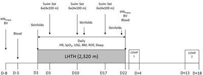 Hematological and performance adaptations to altitude training (2,320 m) in elite middle-distance and distance swimmers 